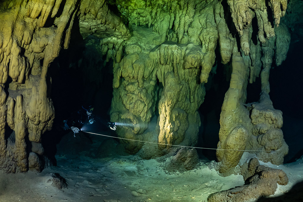 Petit plongeur le long d’un fil d’Ariane parmi d’épaisses colonnes dorées, Quintana Roo, Mexique