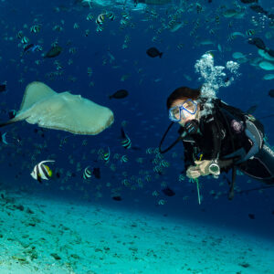 Woman diver exhaling bubbles beside a passing pink whipray, Fish Factory, Maldives