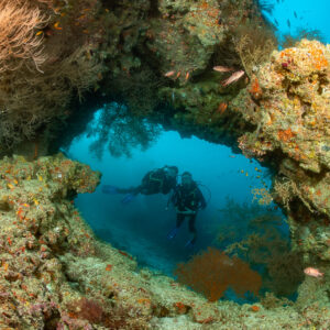 Two divers framed by a coral arch with sea fans and soft corals, Hafza Thila, Maldives