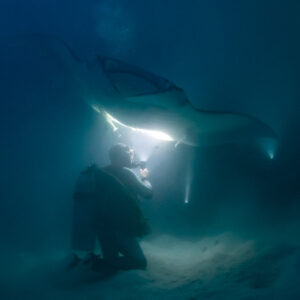 Kneeling diver shining a torch up at a reef manta ray at night, Fesdu Wreck, Maldives
