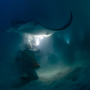 Reef manta ray at night swooping over a kneeling diver, Fesdu Wreck, Maldives
