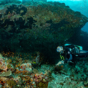 Diver lying close to the reef beneath a large coral overhang, Panettone, Maldives