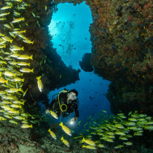 Vue verticale d’une plongeuse dans une arche récifale avec un banc de vivaneaux, Kudarah Thila, Maldives