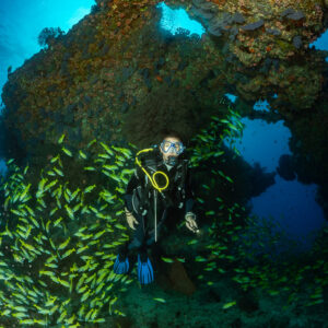 Vue verticale d’une plongeuse sous une arche corallienne au milieu des vivaneaux, Kudarah Thila, Maldives