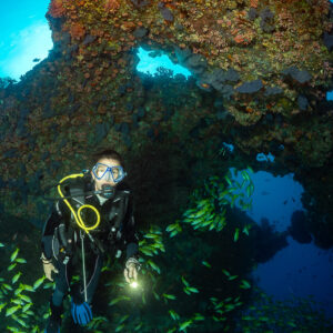 Diver with torch under a coral arch, snappers around her, vertical, Kudarah Thila, Maldives