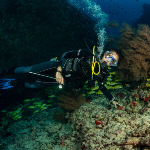 Diver gliding close to a snapper school and brown sea fan, Kudarah Thila, Maldives
