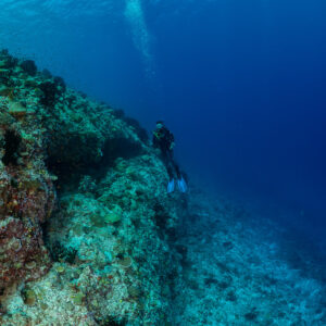Distant diver on a reef slope with rising bubbles, vertical, Golden Wall, Maldives