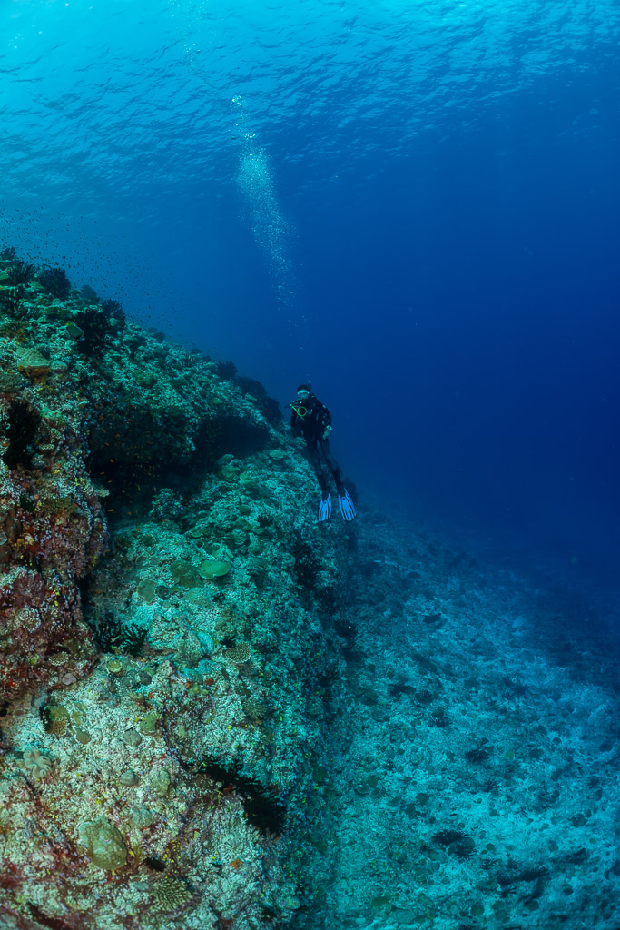 Plongeuse lointaine sur un tombant avec bulles montantes, cadrage vertical, Golden Wall, Maldives