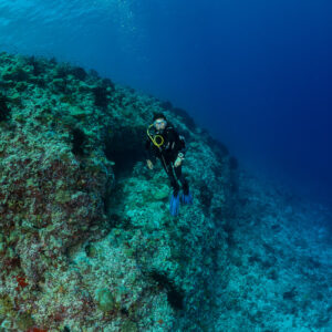 Diver at the corner of a reef wall in blue water, vertical, Golden Wall, Maldives