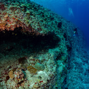Long reef overhang with distant diver along the drop-off, Golden Wall, Maldives