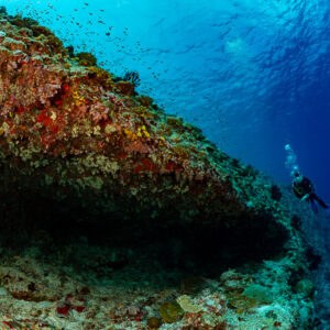 Diver beside a long reef overhang under a sunlit surface, Golden Wall, Maldives
