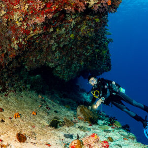 Diver lighting the reef floor under an overhang, Golden Wall, Maldives