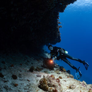 Diver with glowing torch under a dark overhang, Golden Wall, Maldives