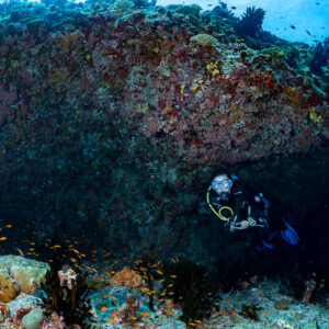 Vue large d’une plongeuse sous un grand surplomb récifal avec barbiers, Golden Wall, Maldives