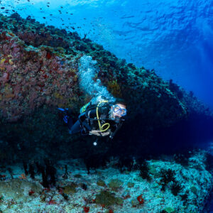 Diver swimming toward camera under a reef overhang, Golden Wall, Maldives