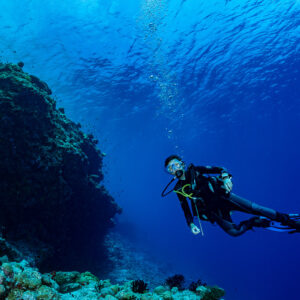 Diver swimming in open blue beside a reef wall, Golden Wall, Maldives