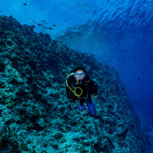 Diver on a reef slope beneath the surface, vertical, Golden Wall, Maldives