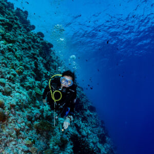 Diver along a reef drop-off below the surface, vertical, Golden Wall, Maldives