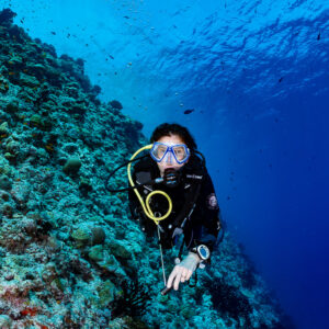Diver facing the camera on a reef slope, close vertical, Golden Wall, Maldives