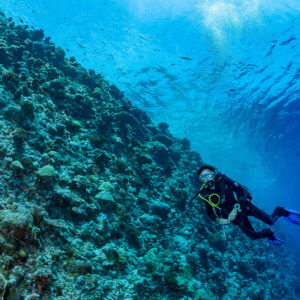 Diver swimming along a coral slope under rippled surface, Golden Wall, Maldives
