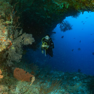 Woman diver with torch in a reef archway framed by orange sea fans, Fotteyo Kandu, Maldives
