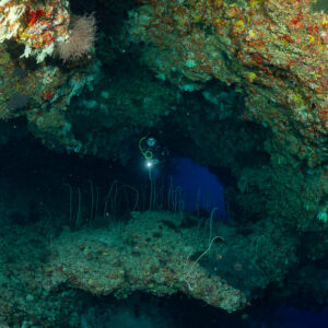 Woman diver in a reef cave, light beam and whip corals, tighter view, Fotteyo Kandu, Maldives