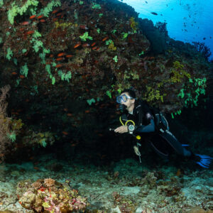 Woman diver posing under a soft coral overhang, torch in hand, Fotteyo Kandu, Maldives