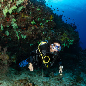 Woman diver looking at camera beside a soft coral covered rock, Fotteyo Kandu, Maldives