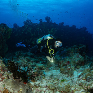 Woman diver gliding over a colourful reef slope with torch, Fotteyo Kandu, Maldives