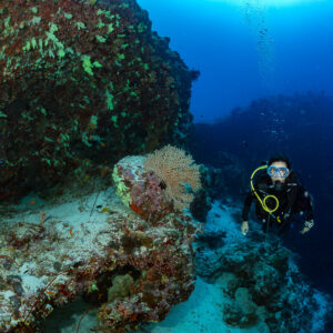 Woman diver between a sea fan boulder and a soft coral rock, Fotteyo Kandu, Maldives