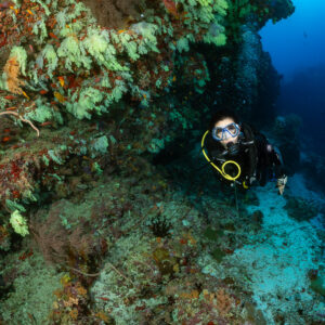 Woman diver facing camera beside a soft coral overhang, close framing, Fotteyo Kandu, Maldives