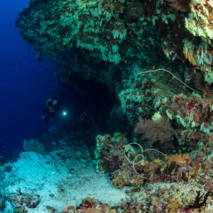 Woman diver with torch entering a crevice under a coral overhang, Fotteyo Kandu, Maldives
