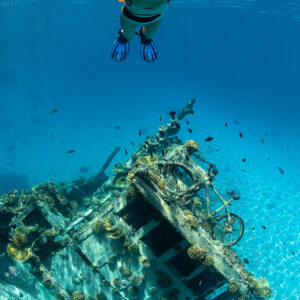 Snorkeler at the surface above a shallow boat wreck, vertical view, Maldives