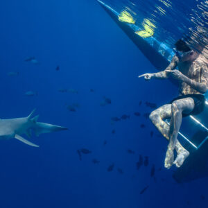 Man sitting on the boat ladder watching a tawny nurse shark below, Alimatha Jetty, Maldives