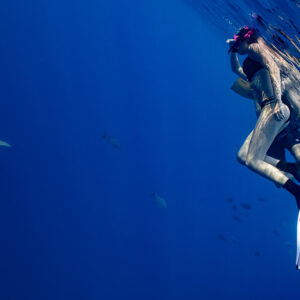 Woman in bikini with fins at the surface as a nurse shark approaches, Alimatha Jetty, Maldives