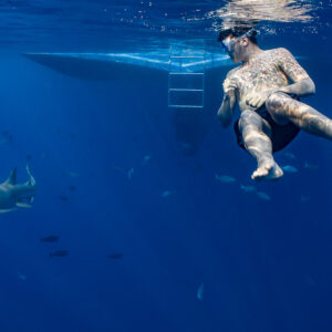 Snorkeler floating by the boat ladder above a tawny nurse shark, Alimatha Jetty, Maldives