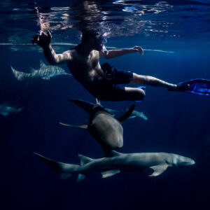 Snorkeler kicking down beside nurse sharks at night, Alimatha Jetty, Maldives