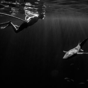 Black-and-white snorkeler by the rope with a nurse shark below at night, Alimatha Jetty, Maldives