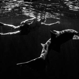 Black-and-white snorkeler gliding over two nurse sharks at night, Alimatha Jetty, Maldives