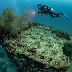 Diver above a wreck deck topped with a bushy black coral, Kuda Giri Wreck, Maldives