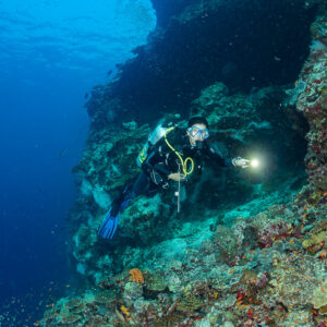 Woman diver with torch on a steep reef wall, vertical, Kuda Giri Wreck, Maldives