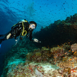 Woman diver gliding past a reef overhang with anthias, Kuda Giri Wreck, Maldives