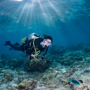 Woman diver under sunrays touching a coral head in the shallows, Kuda Giri Wreck, Maldives