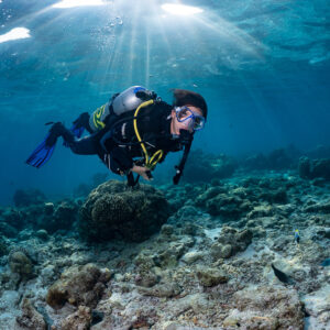 Woman diver hovering over coral heads under sun rays, Kuda Giri Wreck, Maldives