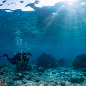 Woman diver small in frame among coral heads with sunbeams, Kuda Giri Wreck, Maldives