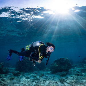 Woman diver swimming toward camera under a bright sunburst, Kuda Giri Wreck, Maldives