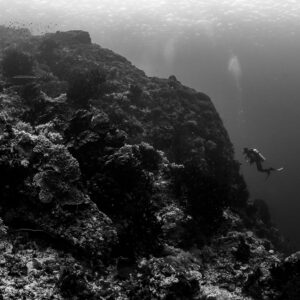Black-and-white image of a diver along a rocky reef slope, Komodo, Indonesia