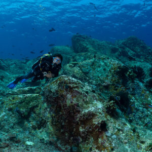 Diver gliding over green-tinted rocks in a boulder field, Komodo, Indonesia