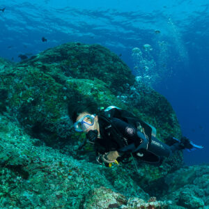 Diver turning toward the camera above green encrusted boulders, Komodo, Indonesia