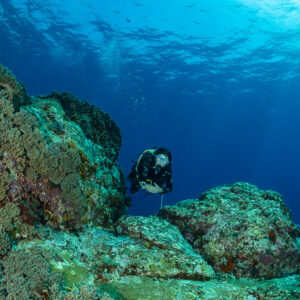 Diver beside a coral-covered boulder in sunlit blue water, Komodo, Indonesia